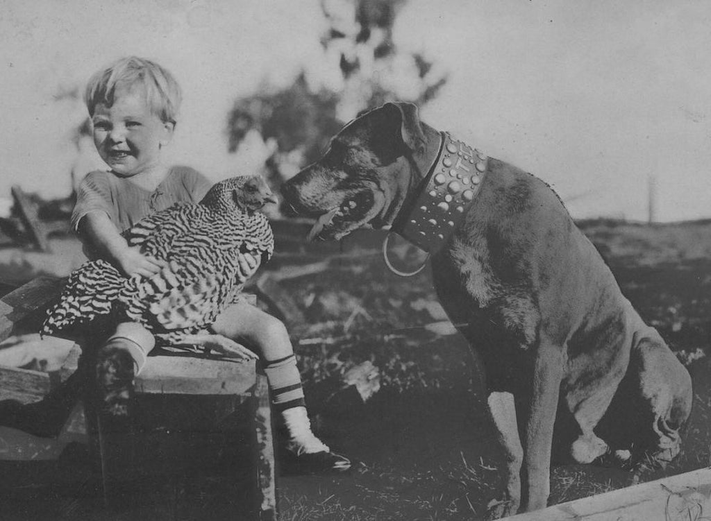 Don Marion and Teddy the Dog in Down on the Farm (1920) | www.vintoz.com