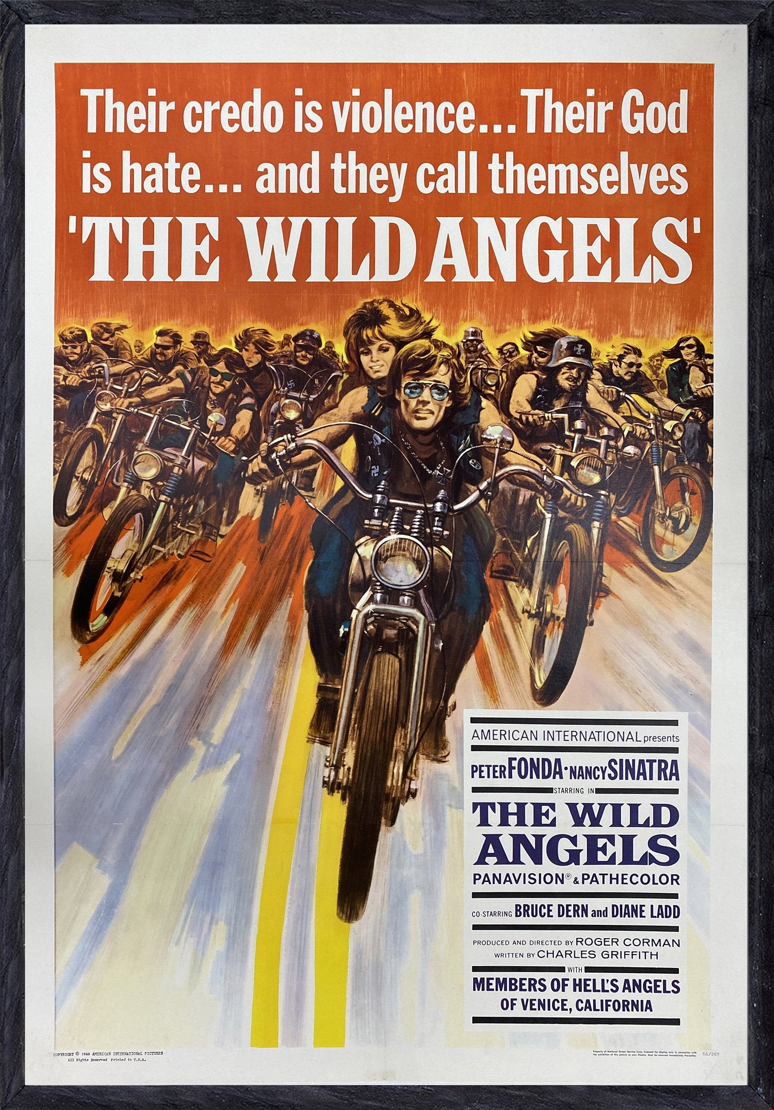 洋画・外国映画 THE WILD ANGELS DVD The Wild Angels - The Wild