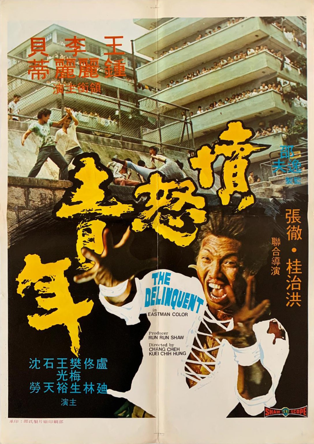 Street Gangs of Hong Kong ('憤怒青年')