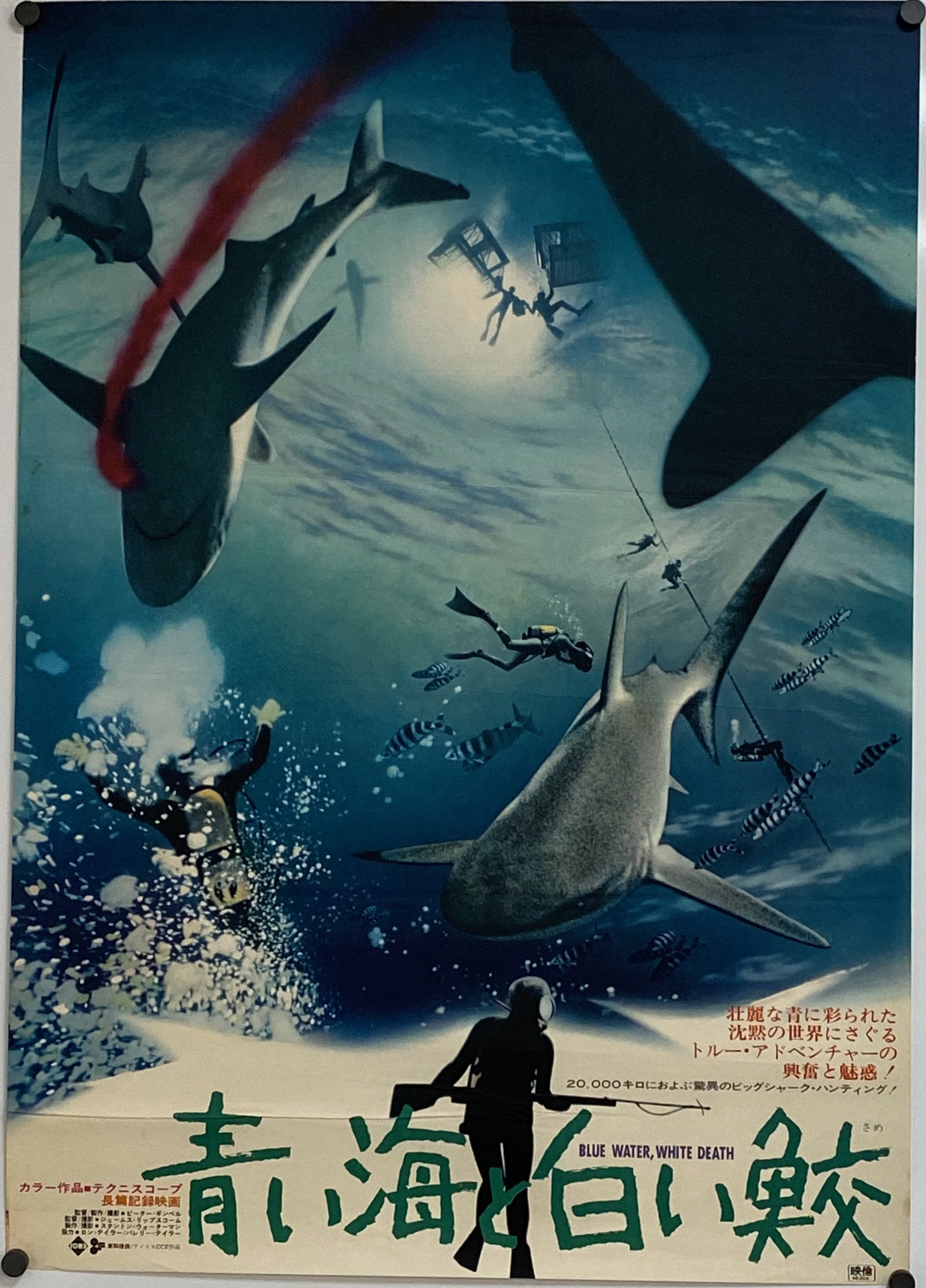 その他 Blue Water White Death [DVD] s-l640.jpg